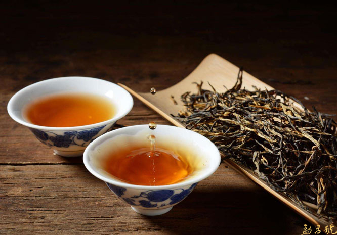 春茶季即将到来 普洱茶人必须知道的3个黄金时间段。