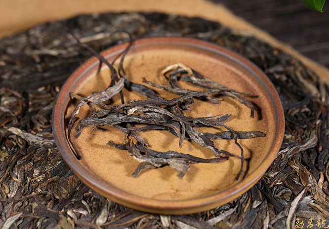 普洱茶中备受欢迎的古树茶究竟好在哪？