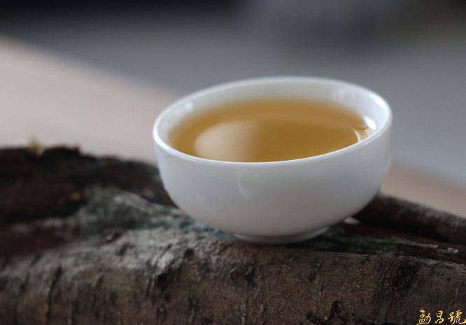 普洱古树茶和台地茶要如何区分？