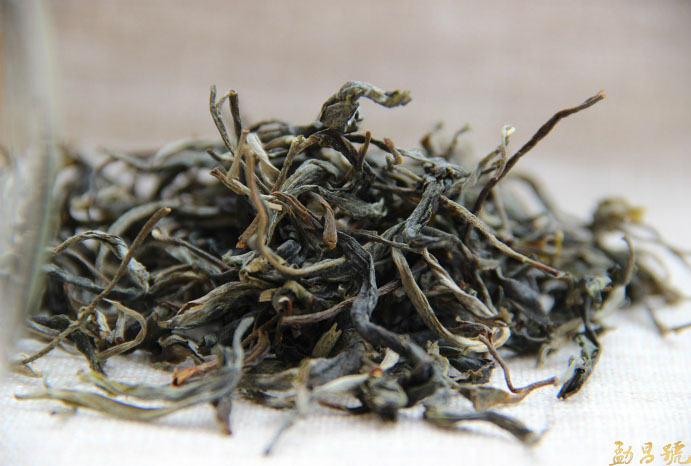 普洱茶入门指南——六大分类标准解析普洱茶。